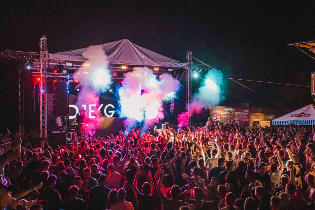 Group of People Watching Concert